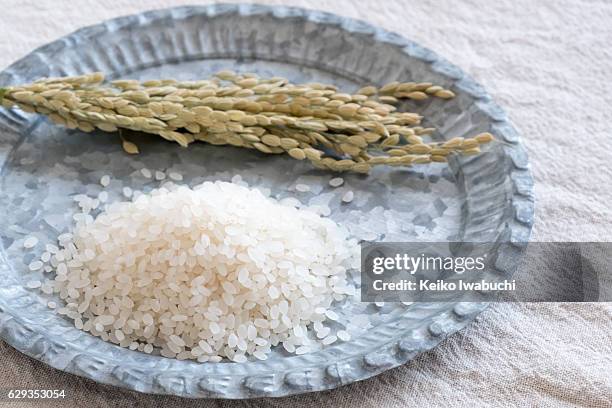 fotos e imágenes de Paquete De Arroz - Getty Images fotos e imágenes de Paquete De Arroz - Getty Images