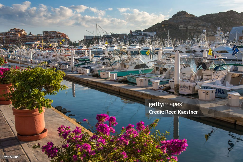 Fishing boats in the harbor at Cabo San Lucas.