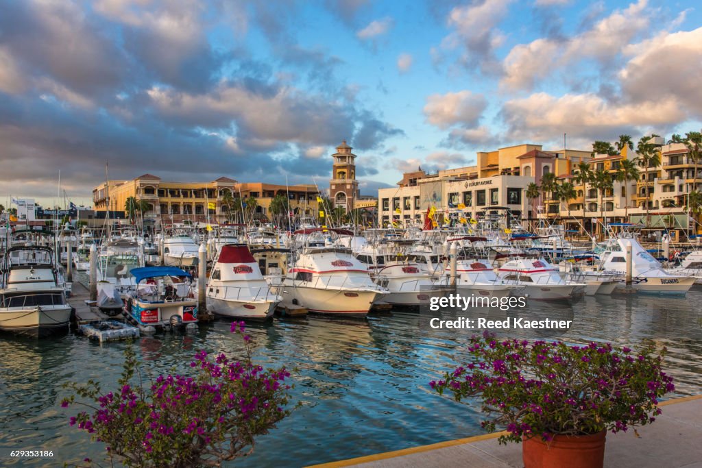 Cabo San Lucas harbor with fishing boats in front of the shops and restaurants lining the marina.