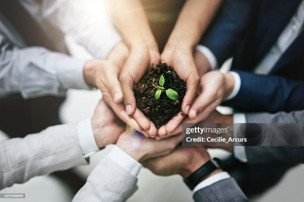 Generar crecimiento uniendo fuerzas