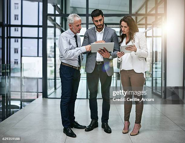 shared knowledge brings shared success - three people standing stock pictures, royalty-free photos & images