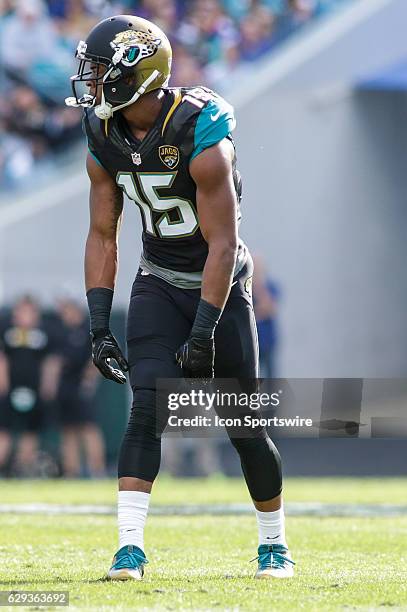 Jacksonville Jaguars Wide Receiver Allen Robinson lines up for a play during the NFL game between the Minnesota Vikings and the Jacksonville Jaguars...