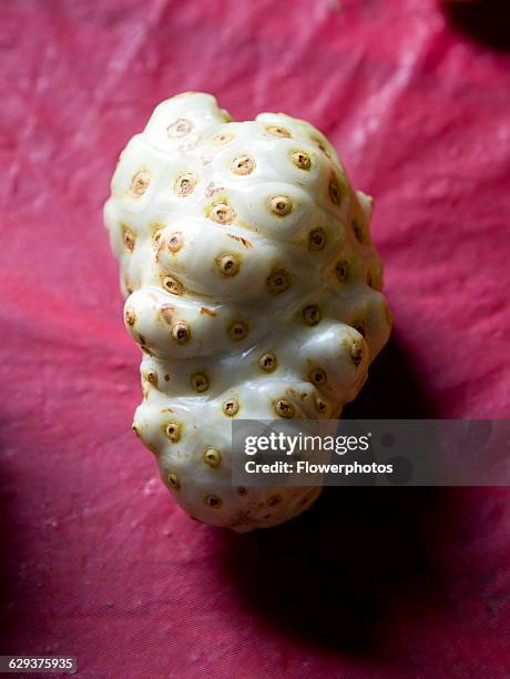 Nooni fruit, morinda citrifolia.