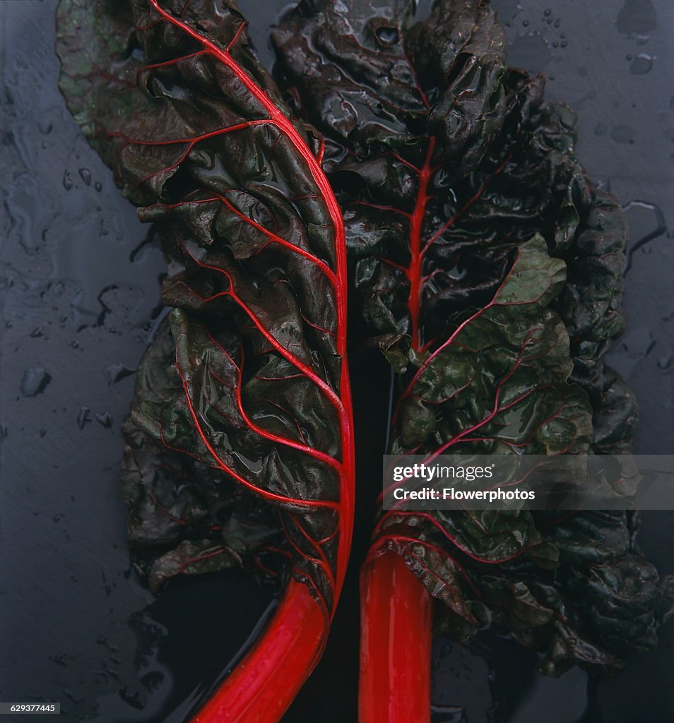 Swiss Chard.