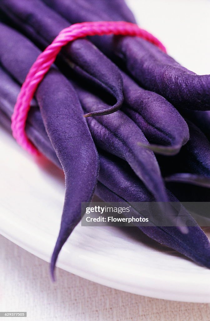 French Bean.