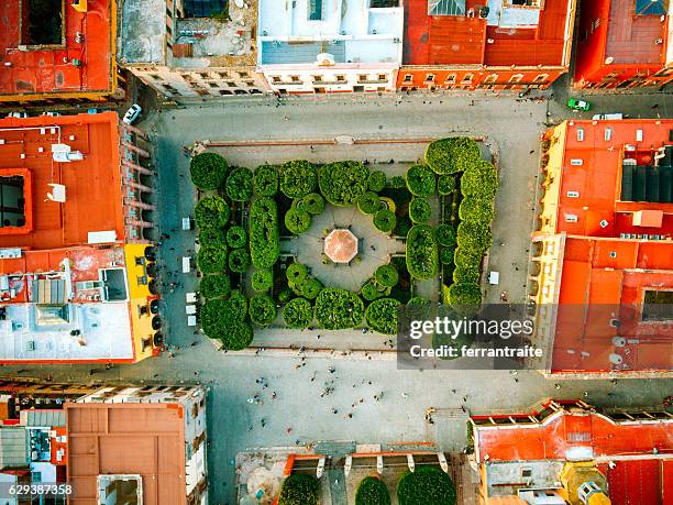 san miguel de allende mexico - san miguel de allende 個照片及圖片檔