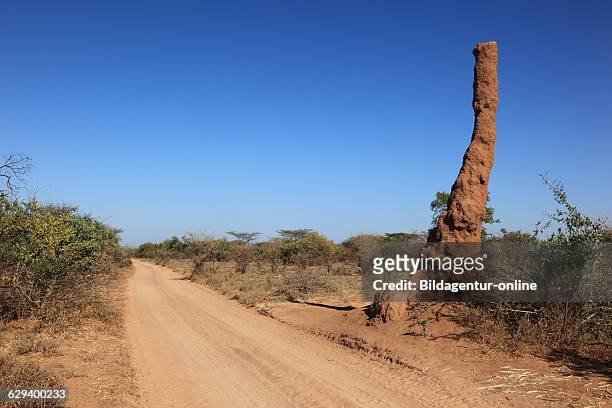 Omo region, termite mound, termites on a dusty country road