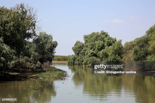 Danube Delta Biosphere Reserve, near Tulcea, Romania