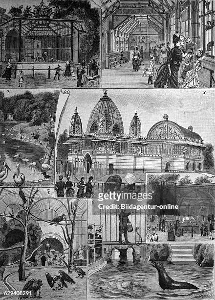 Berlin zoological garden, historical illustration, about 1886, berlin, germany, europe