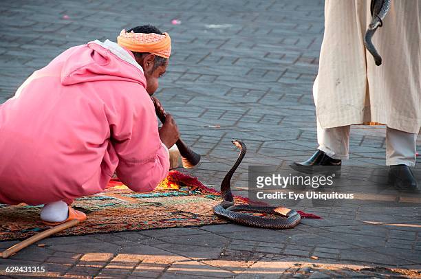 Morocco. Marrakech. Snake charmer in in Djemaa el Fna square.