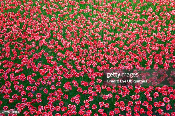 England. London. Tower Hamlets. Tower of London red ceramic poppy art installation by artists Paul Cummins and Tim Piper titled Blood Swept Lands of...