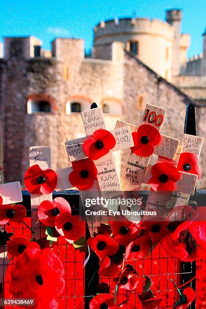 England. London. Tower Hamlets. Rembrance Red poppies and crosses at the Tower.