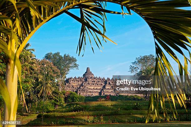 Indonesia. Java. Borobudur. View of monument. Framed by large palm frond. From the sorrounding park.
