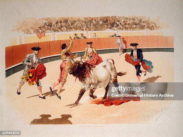 Bullfighter Injuries 331 Bull Fighting Injury Stock Photos, High-Res Pictures, and Images ...
