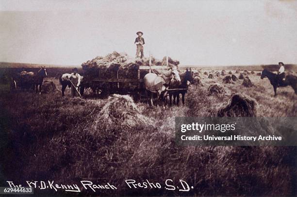 Workers Harvesting Wheat, Presho, South Dakota, USA, circa 1907.