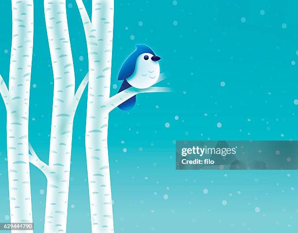 bildbanksillustrationer, clip art samt tecknat material och ikoner med birch tree winter bird - asp