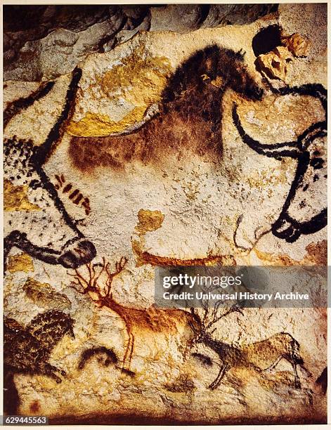 Cave Paintings of Various Animals, Lascaux, France.