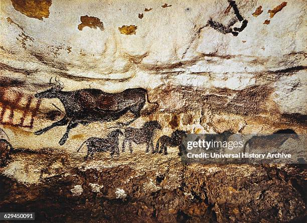 Cave Painting of Cow & Horses, Lascaux, France.