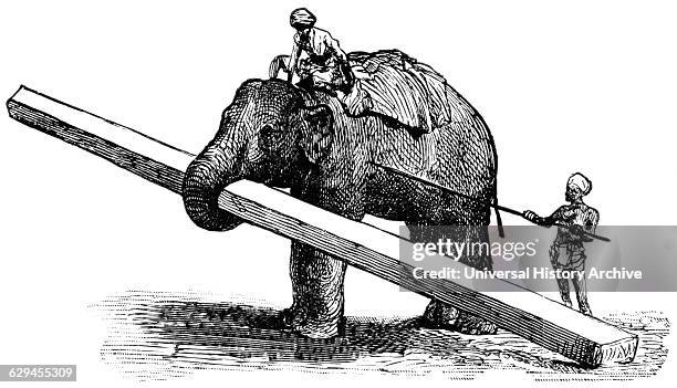 Elephant Carrying Timber, Rangoon, Burma, "Classical Portfolio of Primitive Carriers", by Marshall M. Kirman, World Railway Publ. Co., Illustration,...