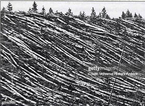 Photograph from the Tunguska event was a large explosion that occurred near the Stony Tunguska River, in what is now Krasnoyarsk Krai, Russia. Dated...