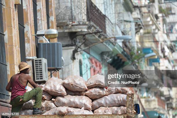 Man distributes bags with vegetables. A typical scene from daily life in Havana's center. Since the 24th May, the Cuban Government legalized small...