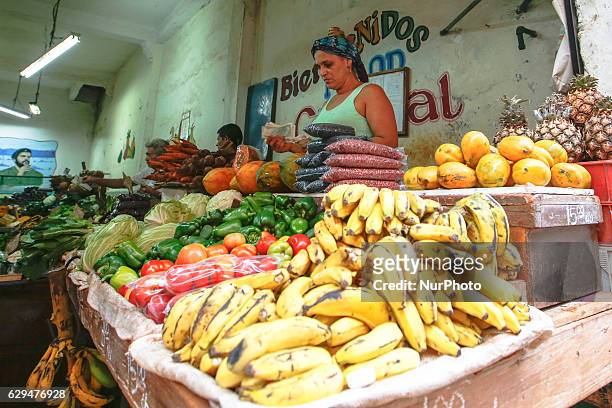 Local woman at her stand selling fruits and vegetables in a traditional market. A typical scene from daily life in Havana's center. Since the 24th...