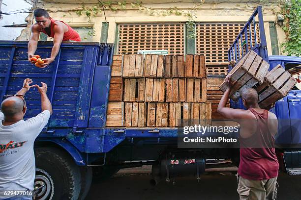 Adistribution of tomatoes in Havana's center. Since the 24th May, the Cuban Government legalized small and medium-sized private businesses in a move...