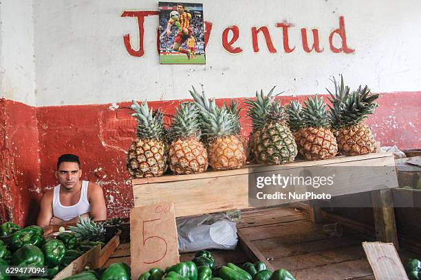 Local man at his stand selling fruits and vegetables in a traditional market. A typical scene from daily life in Havana's center. Since the 24th May,...