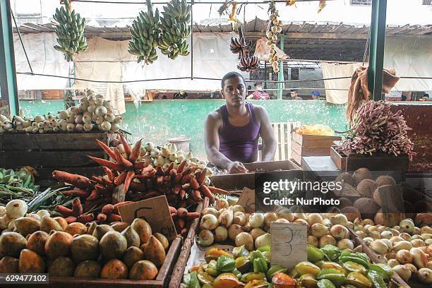 Local man at his stand selling fruits and vegetables in a traditional market. A typical scene from daily life in Havana's center. Since the 24th May,...