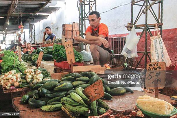 Local man at his stand selling fruits and vegetables in a traditional market. A typical scene from daily life in Havana's center. Since the 24th May,...