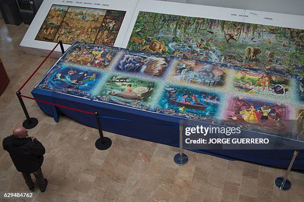 Visitor looks at a 7x2 meter puzzle, the biggest one in the world, made with 40,320 pieces and shown at the Jose Luis Cano Documentary Center in...