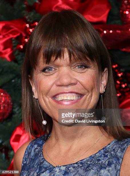 Personality Amy Roloff visits Hollywood Today Live at W Hollywood on December 13, 2016 in Hollywood, California.