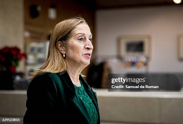 Ana Pastor attends an official dinner with 'Mariano De Cavia', Luca De Tena' and 'Mingote' Award's Winners on December 13, 2016 in Madrid, Spain.