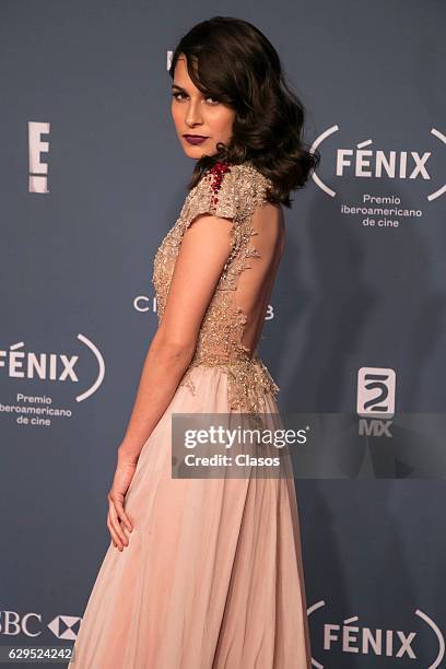 Alicia Quiñonez poses for pictures during the red carpet of the Fenix Awards 2016 at Teatro de la Ciudad on December 07, 2016 in Mexico City, Mexico.