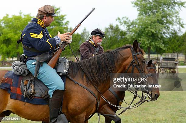 Union Cavalry Sergeant mounted on horse in Battle of Bull Run reenactment.