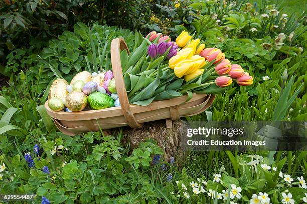 Garden trug with Spring flowers and Easter eggs.