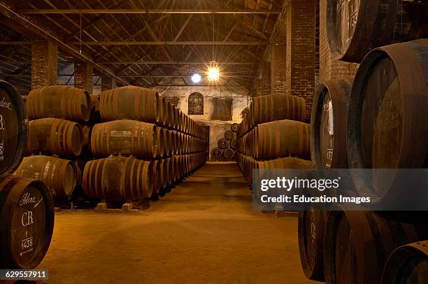 Montilla, Alvear Wine Cellar, Montilla-Moriles Wine Route, Cordoba, Andalusia, Spain.