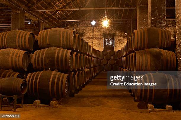Montilla, Alvear Wine Cellar, Montilla-Moriles Wine Route, Cordoba, Andalusia, Spain.