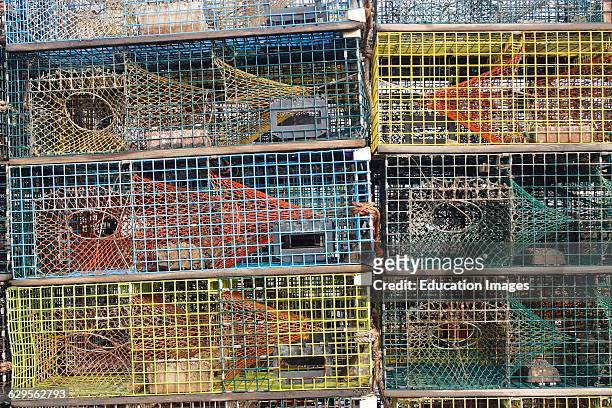 Lobster traps on dock Vinalhaven Island Maine New England USA.