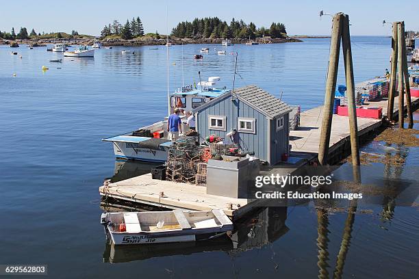 Lobster boats on floats in harbor Vinalhaven Island Maine New England USA.