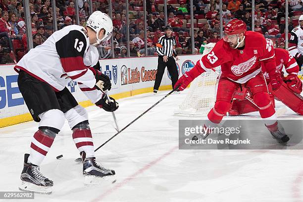 Peter Holland of the Arizona Coyotes and Brian Lashoff of the Detroit Red Wings battle for the puck during an NHL game at Joe Louis Arena on December...