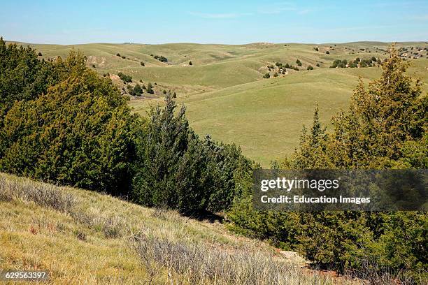 Southeast Nebraska juniper covered hills and grasslands near Ash Hollow State Historical Park on the route of the historical Oregon Trail along...