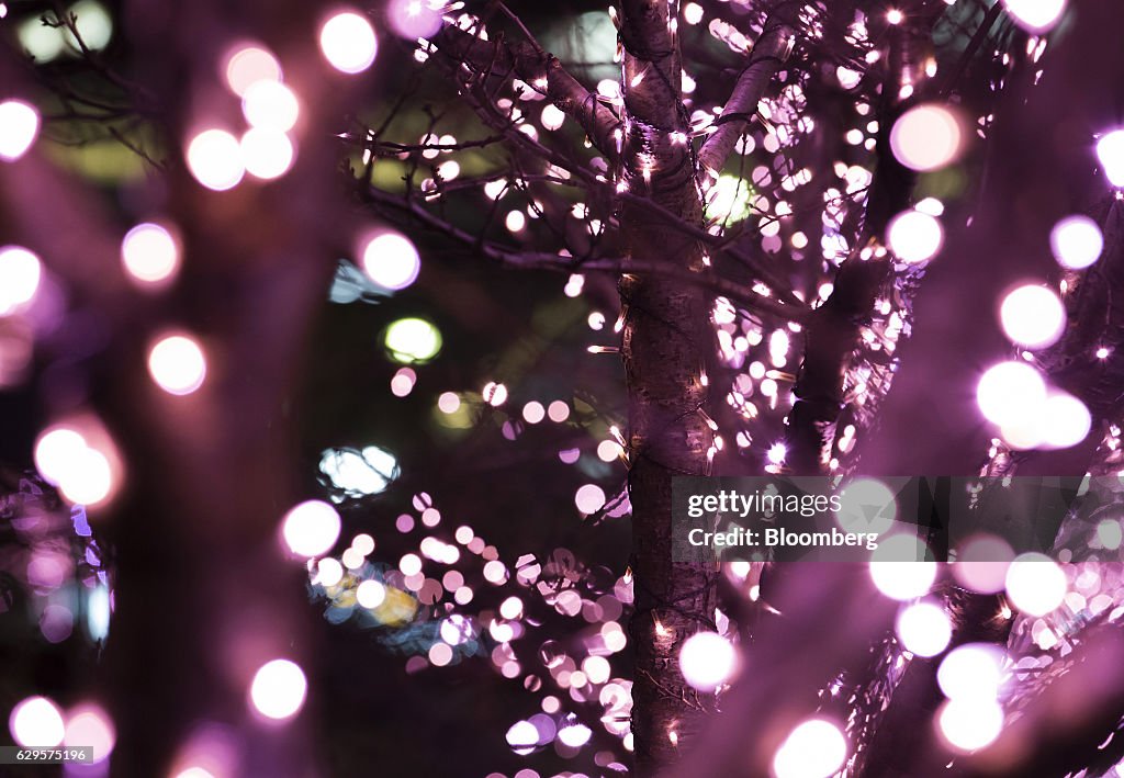LED Lights In Japan Powered By Used Cooking Oil