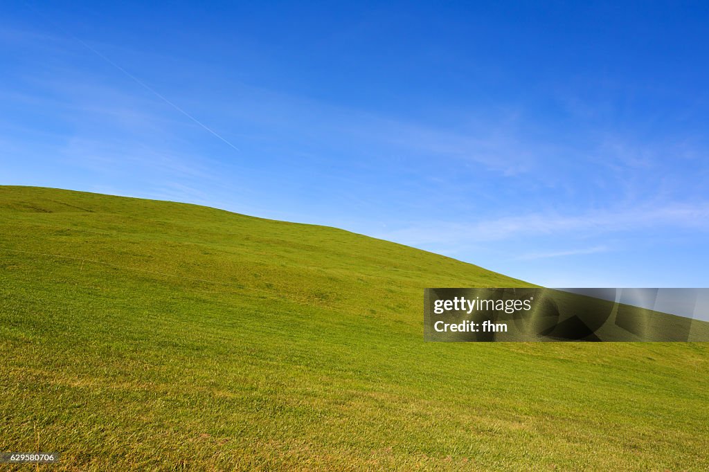 Green meadow and blue sky