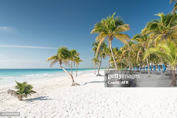 tropical beach, tulum, mexiko - quintana roo stock-fotos und bilder