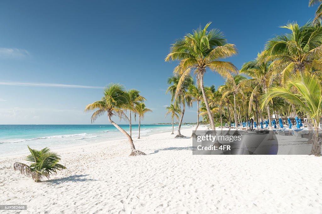 Tropical Beach, Tulum, Mexico
