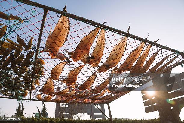 664 Fish Drying Racks Stock Photos, High-Res Pictures, and Images