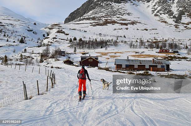 Norway, Hemsedal, Cross country skier and dog heading off into the mountains.