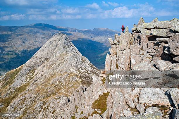 Brisky Ridge 15 Bristly Ridge Stock Photos, High-Res Pictures, and Images - Getty Images