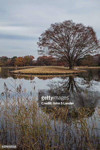 Showa Kinen Park is a large space surrounded by greenery in the outer suburbs of Tokyo. A traditional Japanese garden was created in 1997 in a corner...